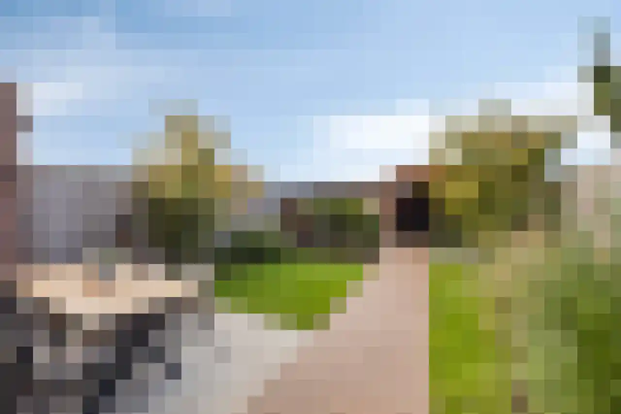 Veldoven 53 Veghel thumbnail 38
