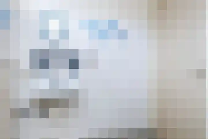 Veldoven 6 Delfzijl thumbnail 23