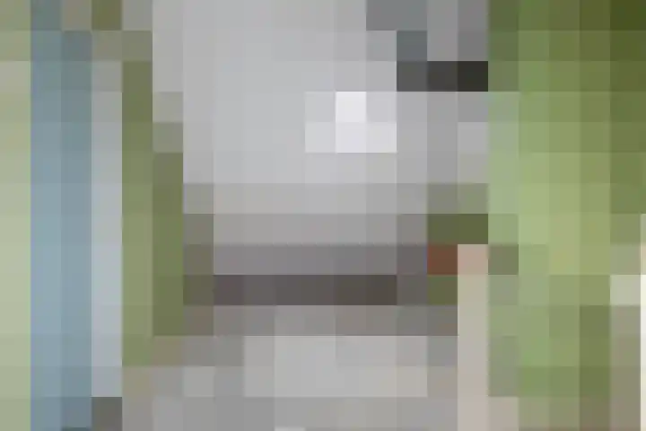 Veldoven 6 Delfzijl thumbnail 26