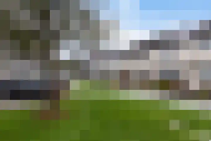 Veldoven 6 Delfzijl thumbnail 33