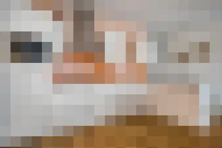 Veldoven 7 Cuijk thumbnail 28