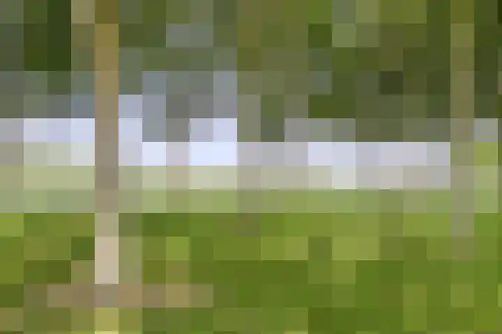 Veldoven 7 Cuijk thumbnail 45