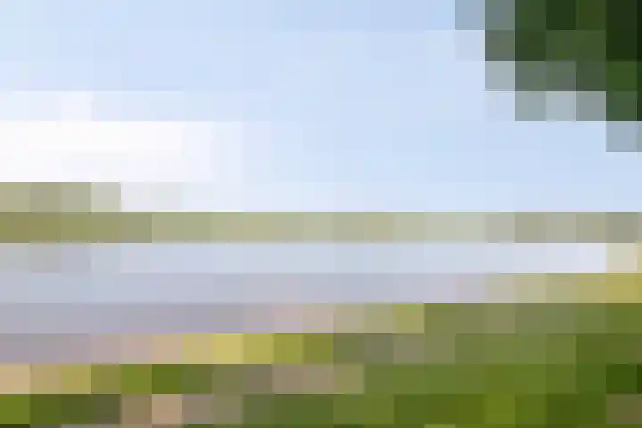 Veldoven 7 Cuijk thumbnail 46