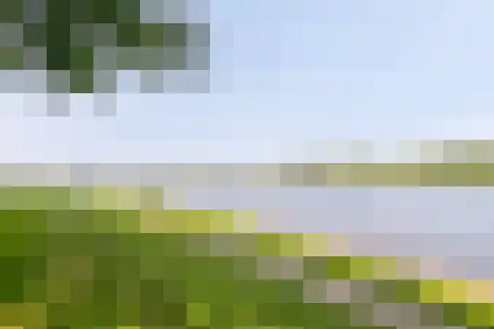 Veldoven 7 Cuijk thumbnail 47