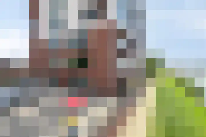 Veldoven 7 Cuijk thumbnail 8