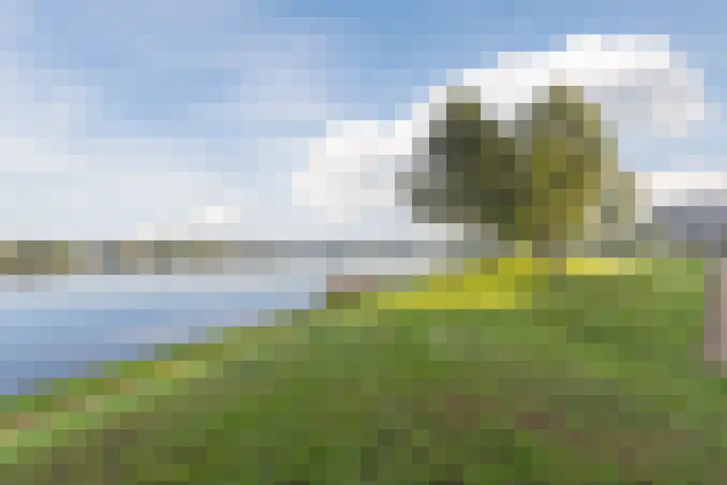 Veldoven 85 Cuijk thumbnail 38