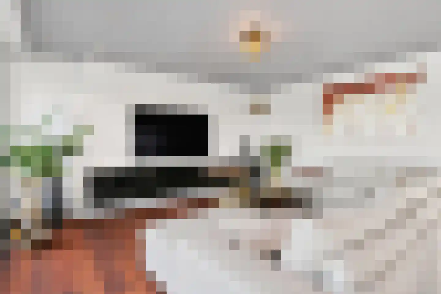 Veldoven 85 Cuijk thumbnail 7