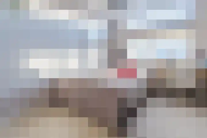 Veldpad 38 Schiedam thumbnail 17