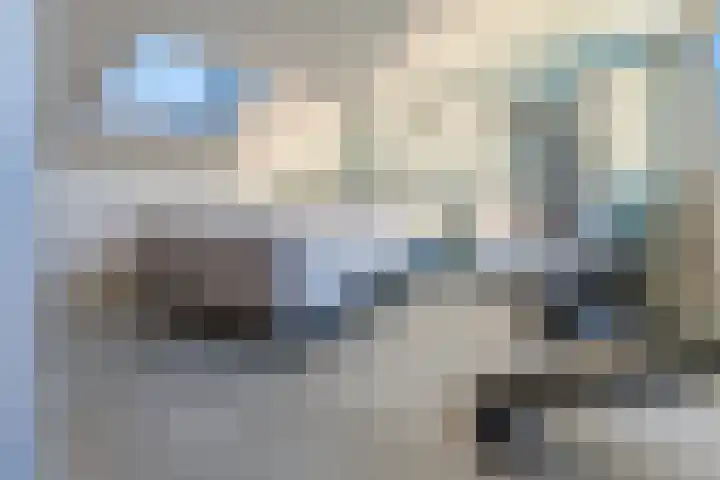 Veldpad 38 Schiedam thumbnail 23