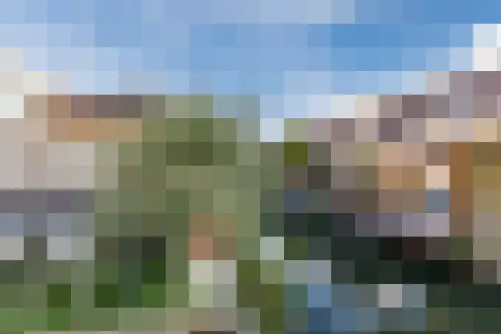 Veldpad 38 Schiedam thumbnail 30