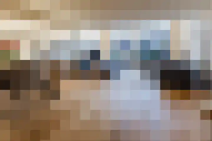 Veldpad 38 Schiedam thumbnail 7