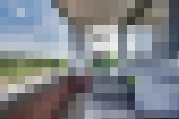 Veldpad 5 's-Hertogenbosch thumbnail 16