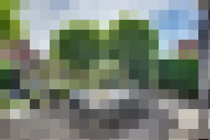 Veldpad 5 's-Hertogenbosch thumbnail 32