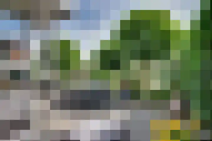 Veldpad 5 's-Hertogenbosch thumbnail 33