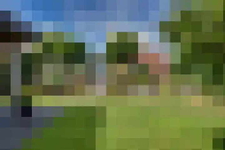 Veldpad 5 's-Hertogenbosch thumbnail 34