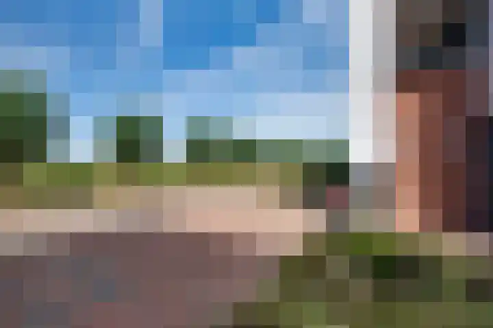 Veldpad 5 's-Hertogenbosch thumbnail 41