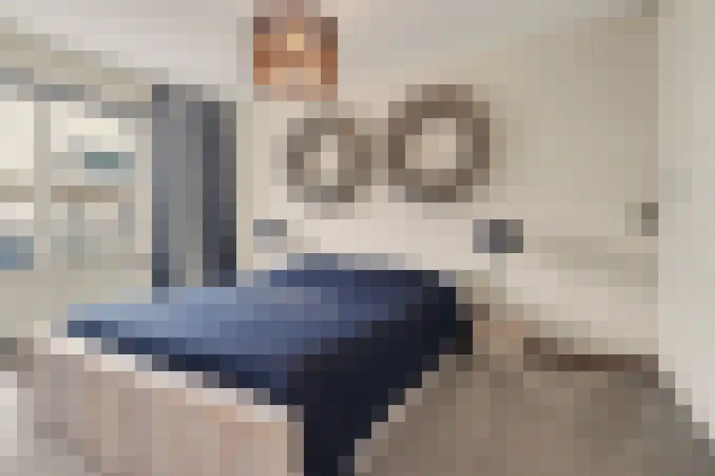Veldpad 66 Schiedam thumbnail 32