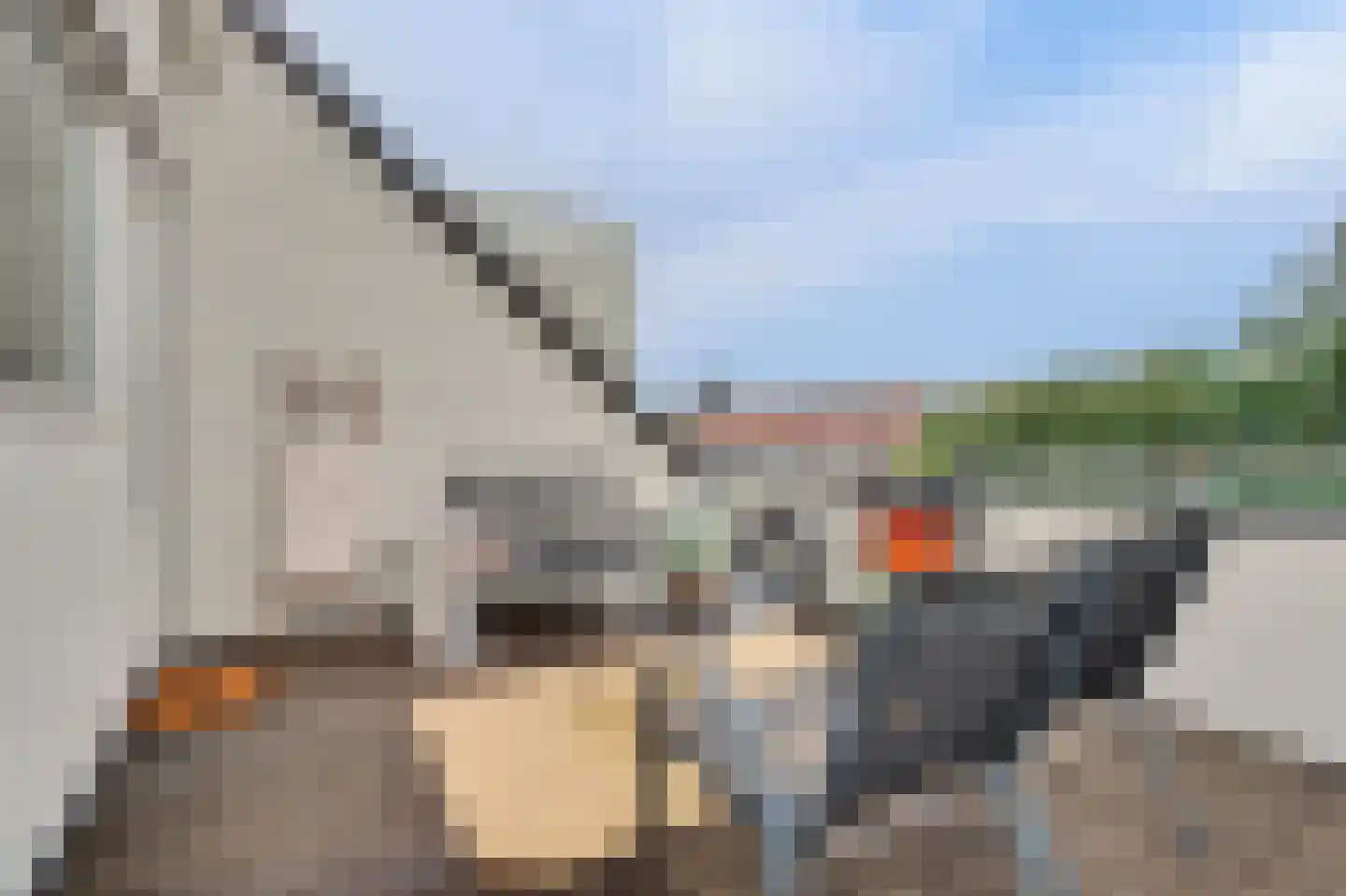 Veldpad 66 Schiedam thumbnail 44