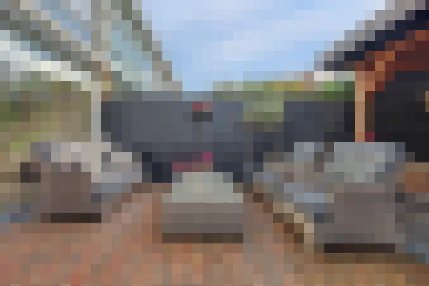 Veldpad 66 Schiedam thumbnail 48