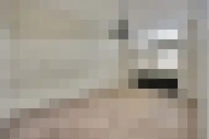 Veldpad 82 Schiedam thumbnail 9
