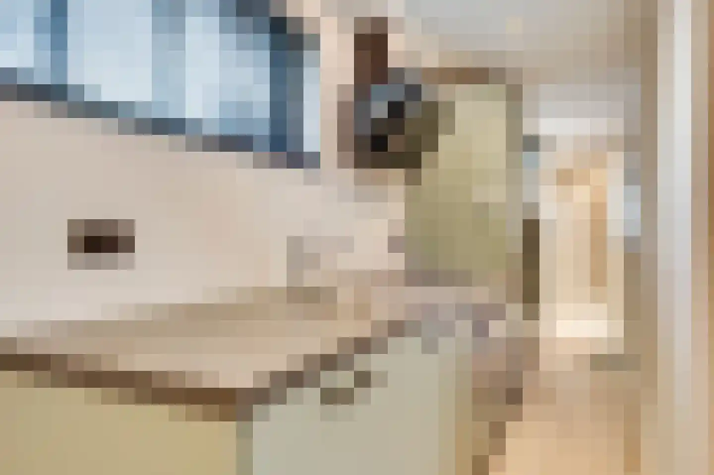 Veldpoort 15 Swalmen thumbnail 5