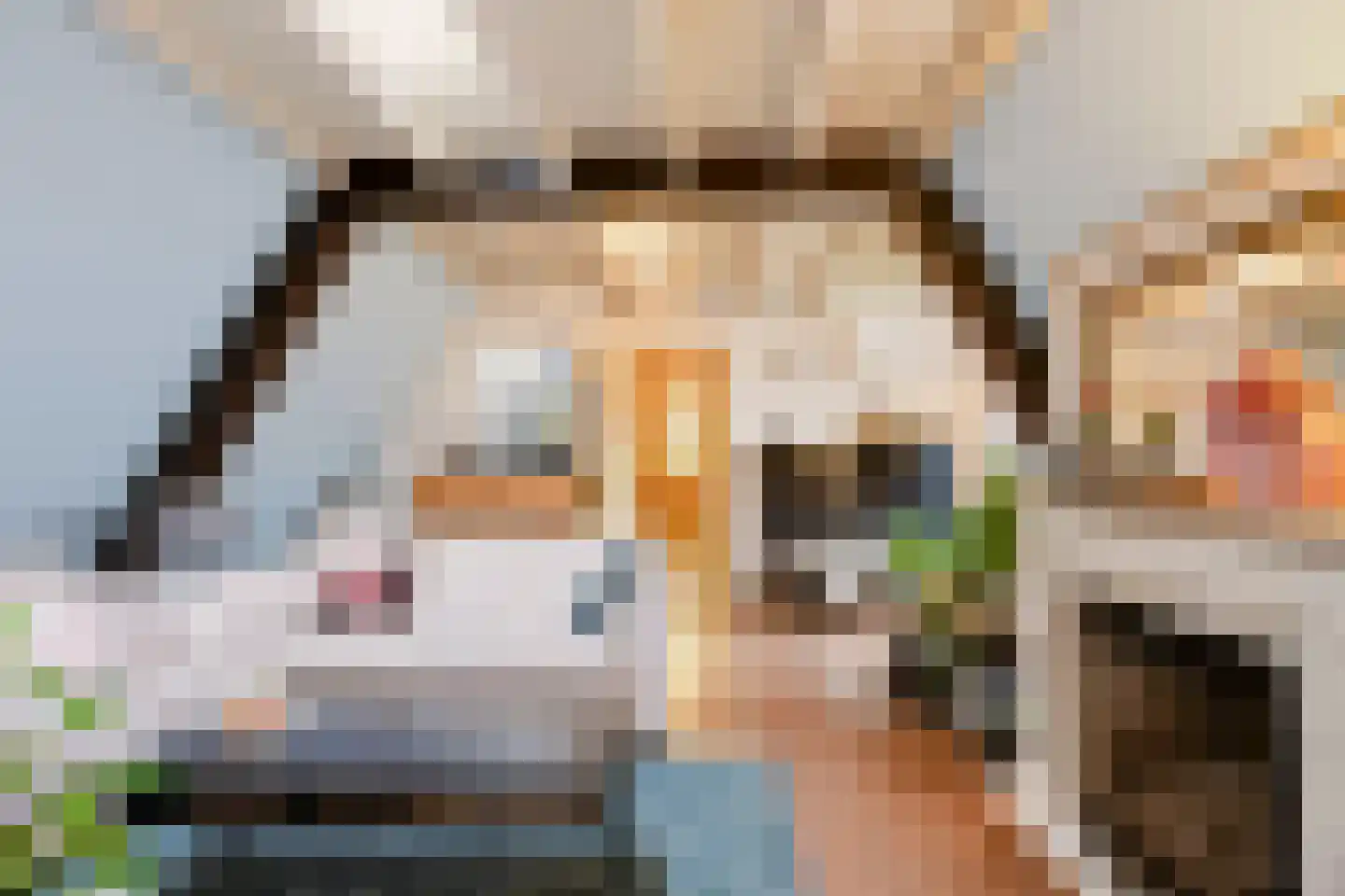 Veldpoortstraat 18 Wijk bij Duurstede thumbnail 13