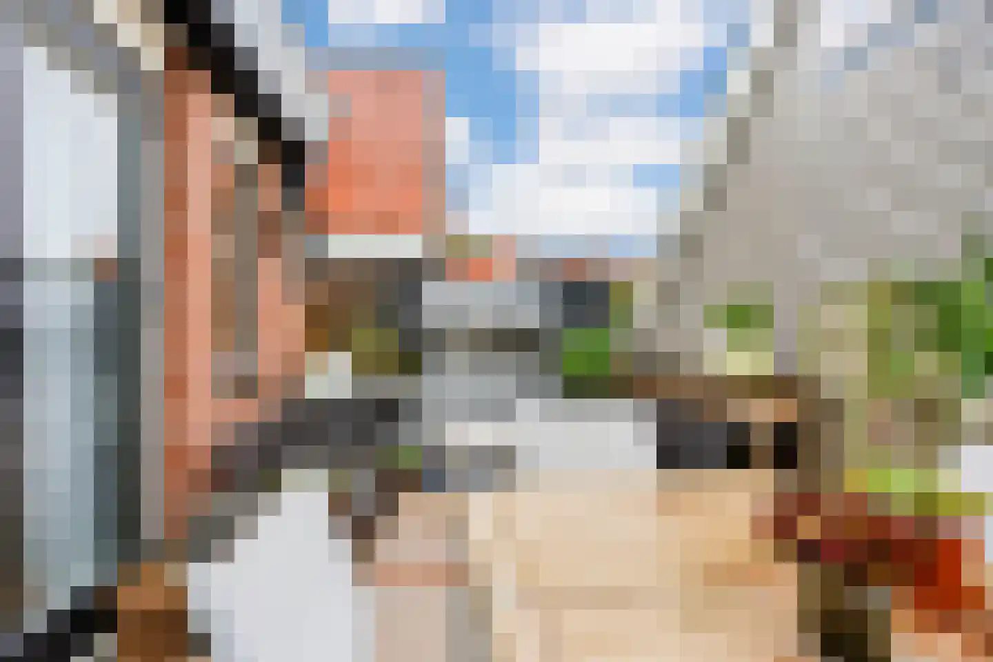 Veldpoortstraat 18 Wijk bij Duurstede thumbnail 24