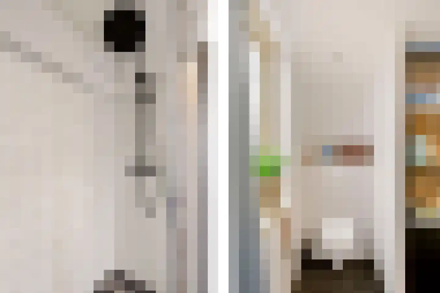 Veldpoortstraat 18 Wijk bij Duurstede thumbnail 29