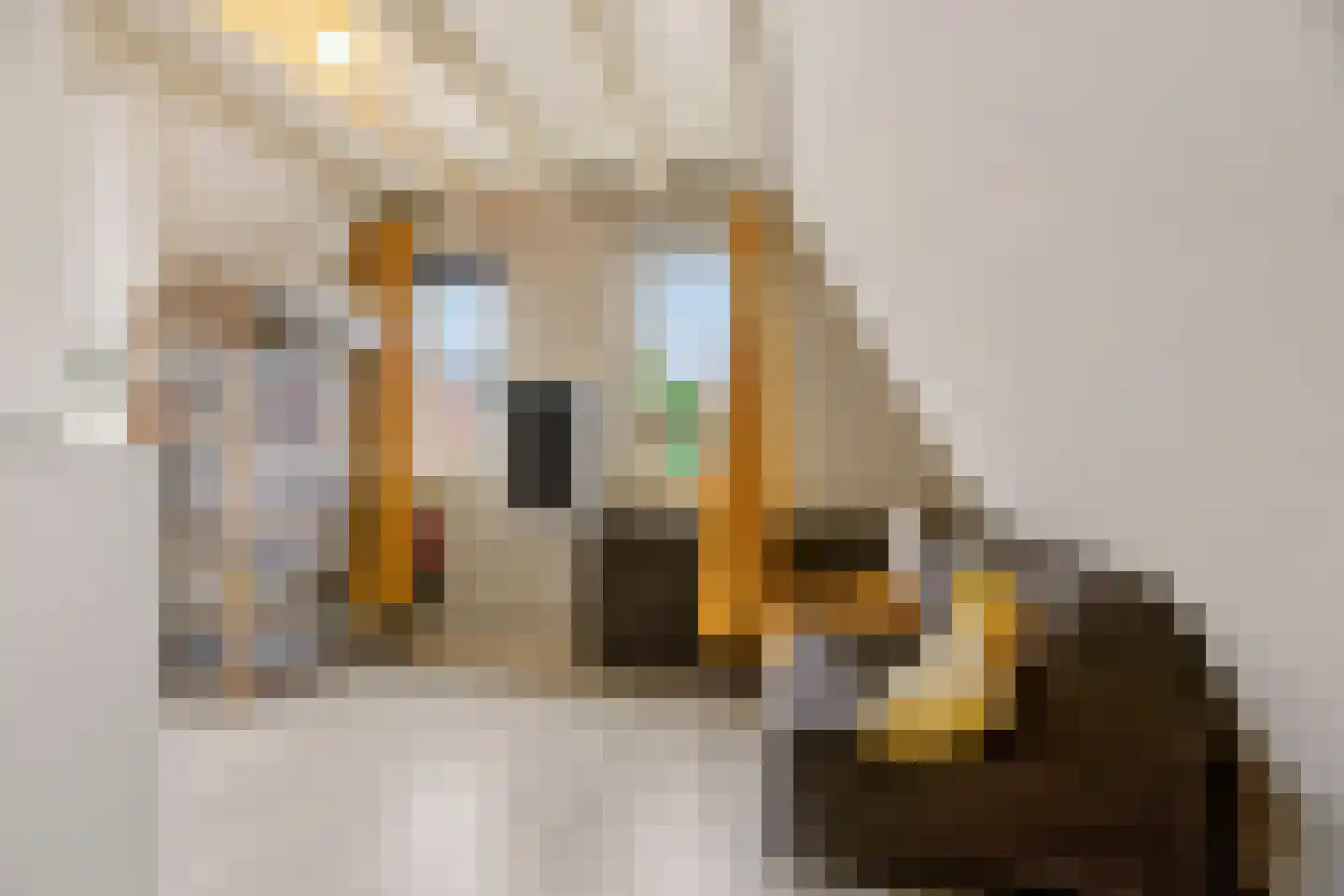 Veldpoortstraat 18 Wijk bij Duurstede thumbnail 30