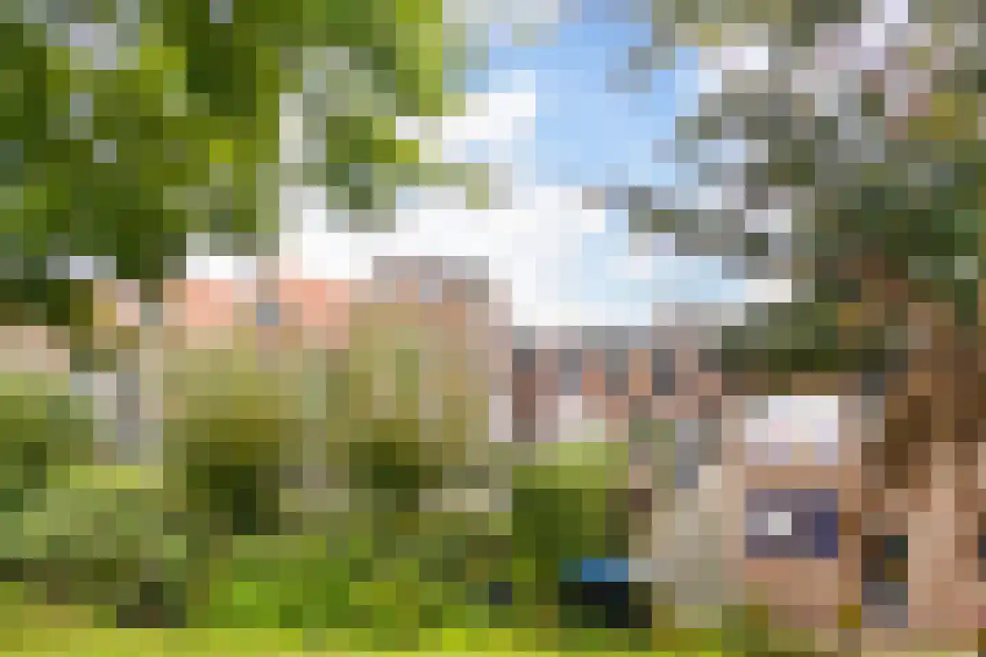 Veldpoortstraat 18 Wijk bij Duurstede thumbnail 34