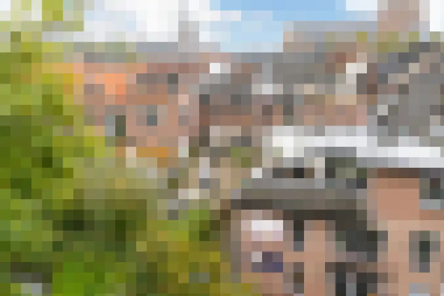 Veldpoortstraat 18 Wijk bij Duurstede thumbnail 35