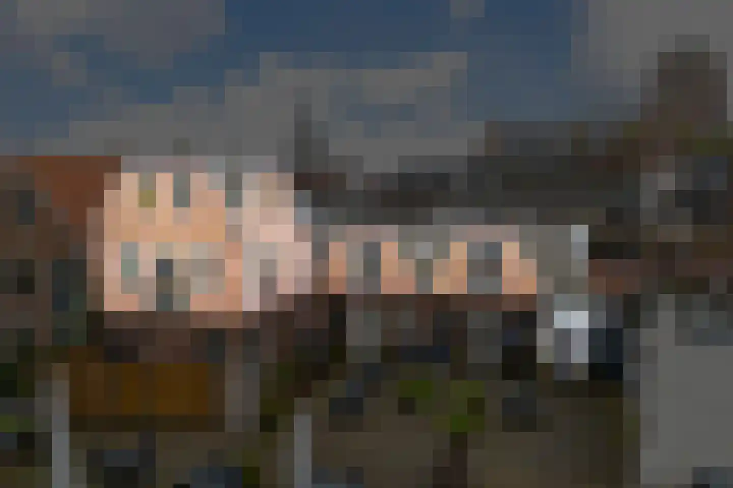 Veldpoortstraat 18 Wijk bij Duurstede thumbnail 38