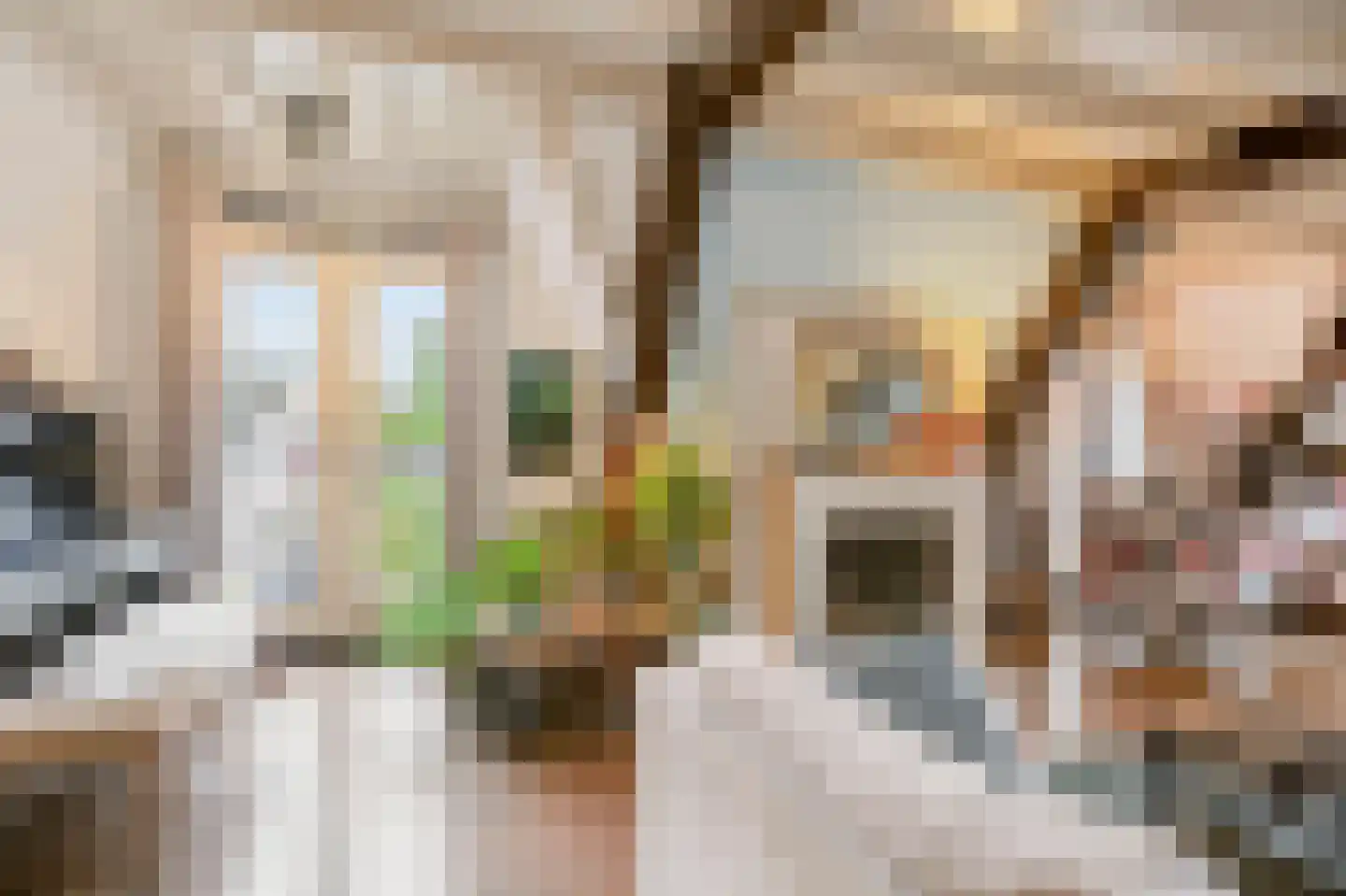 Veldpoortstraat 18 Wijk bij Duurstede thumbnail 9