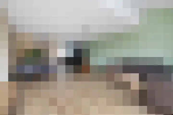 Veldruskade 36 Vleuten thumbnail 10
