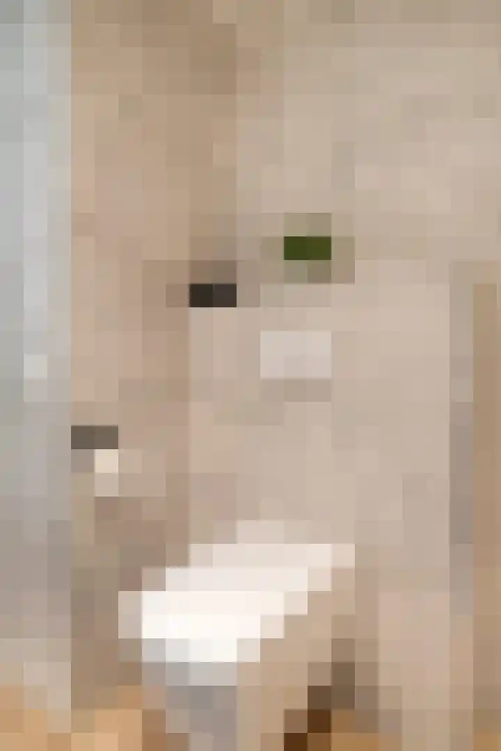 Veldruskade 36 Vleuten thumbnail 18