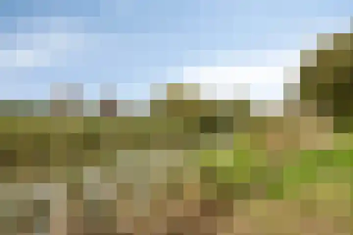 Veldruskade 36 Vleuten thumbnail 29