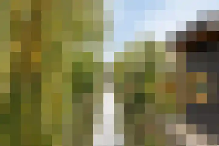 Veldruskade 36 Vleuten thumbnail 30