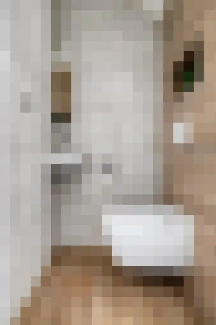 Veldruskade 36 Vleuten thumbnail 5