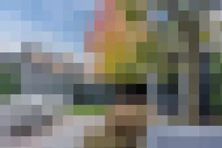 Veldruskade 40 Vleuten thumbnail 10