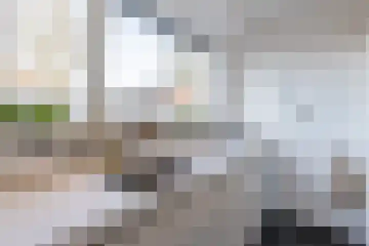 Veldruskade 40 Vleuten thumbnail 16