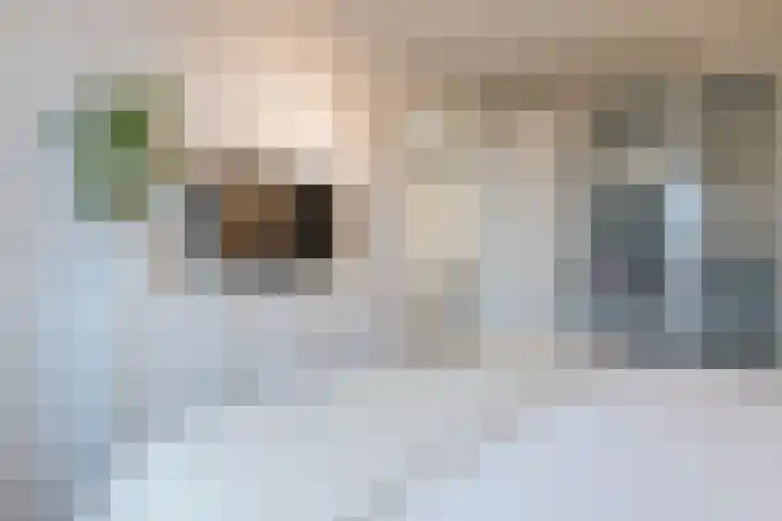 Veldruskade 40 Vleuten thumbnail 23