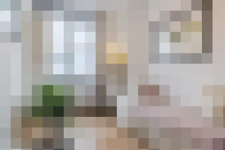 Veldruskade 40 Vleuten thumbnail 25