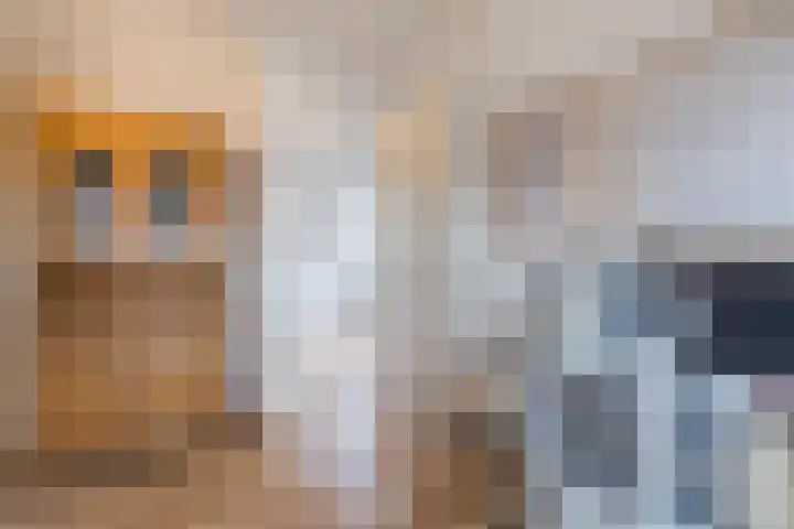 Veldruskade 40 Vleuten thumbnail 38