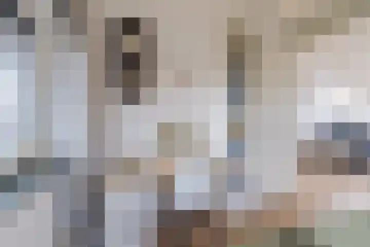 Veldruskade 40 Vleuten thumbnail 42