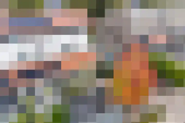 Veldruskade 40 Vleuten thumbnail 44