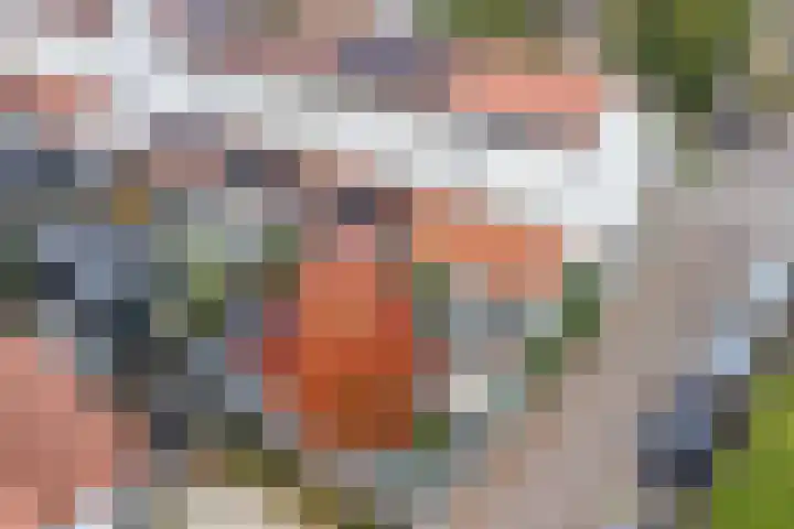 Veldruskade 40 Vleuten thumbnail 45