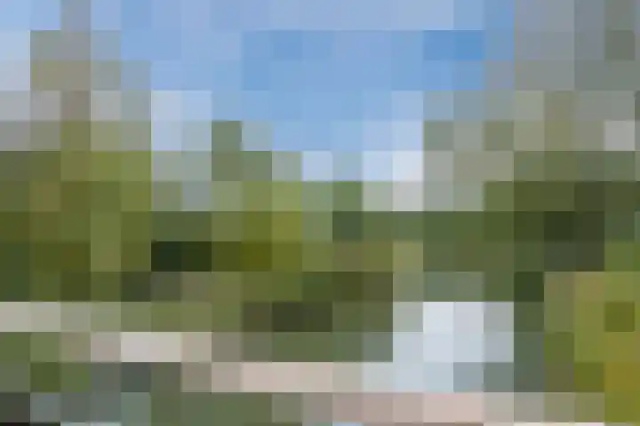 Veldruskade 40 Vleuten thumbnail 48