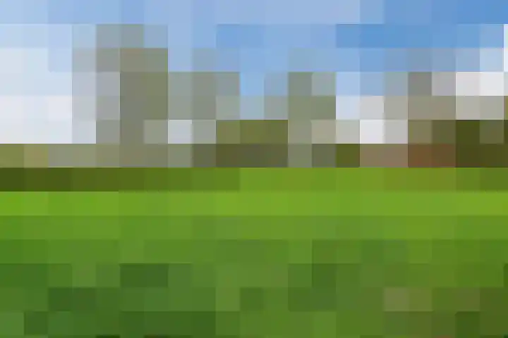 Veldruskade 40 Vleuten thumbnail 50
