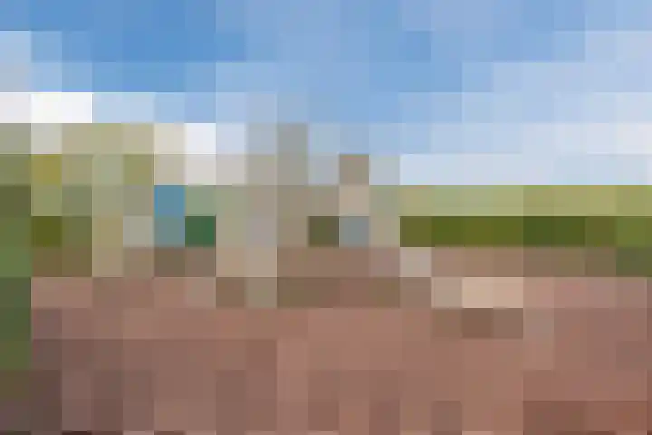 Veldruskade 40 Vleuten thumbnail 51