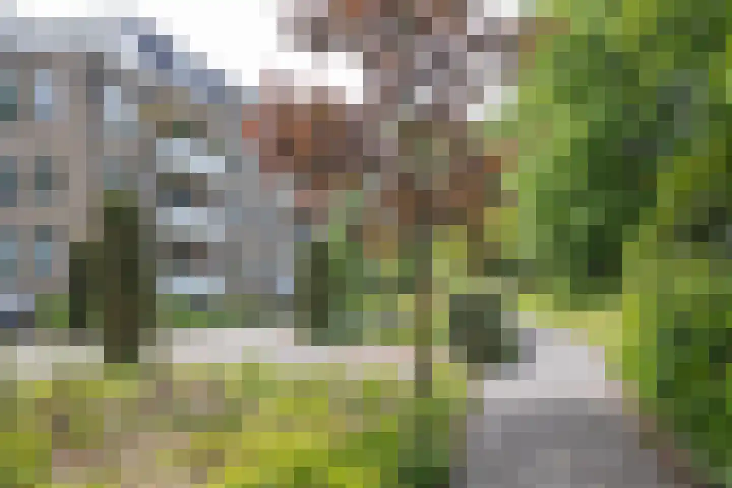 Veldschans 13 Woudenberg thumbnail 35